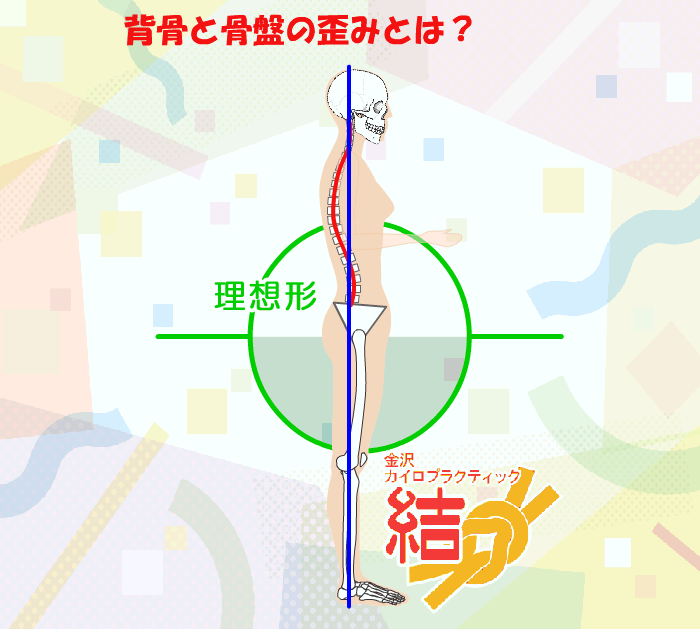 アニメ　背骨と骨盤の歪みとは？骨盤の後傾